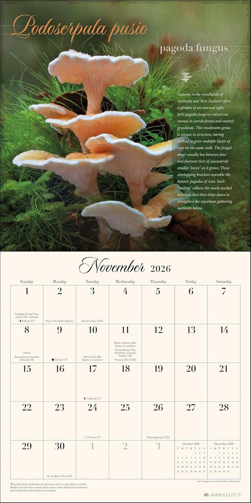 MIRACULOUS MUSHROOM 2026 WALL CALENDAR